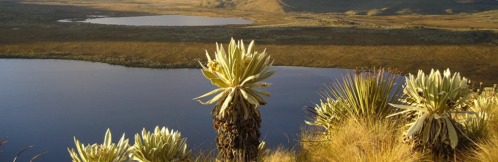 img_Message4_en-gb-1 Img Message4 En Gb 1